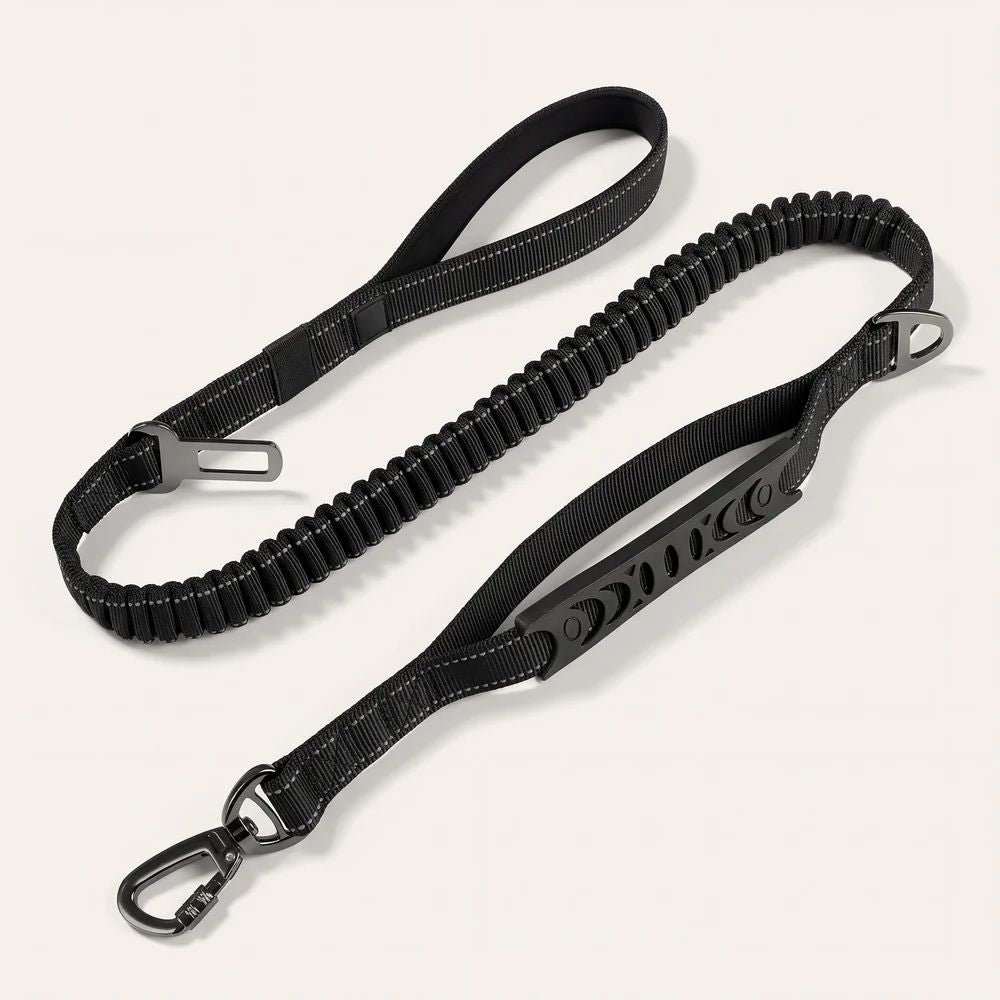 Laisse élastique pour chien