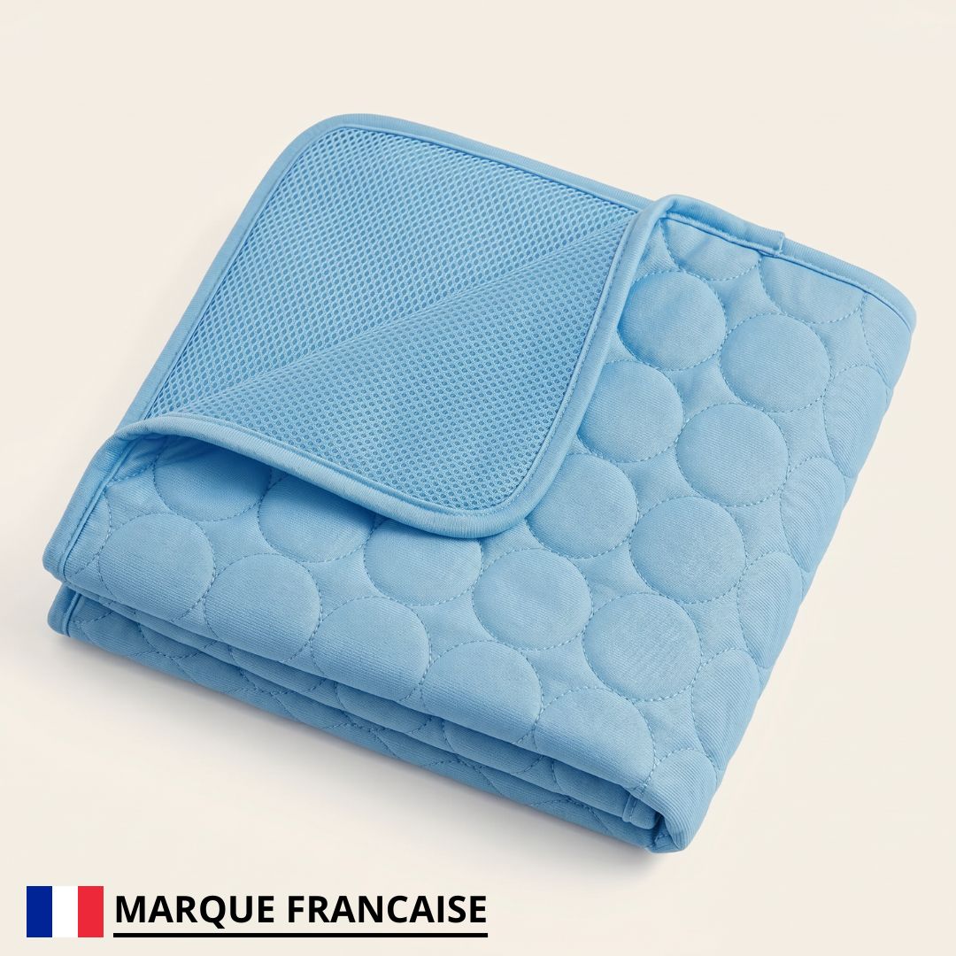 Tapis Rafraîchissant pour chien Loomy