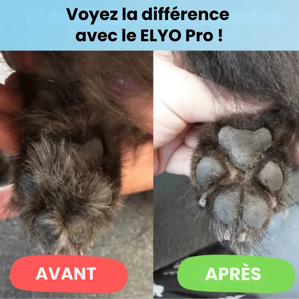 Tondeuse coussinet soin Loomy
